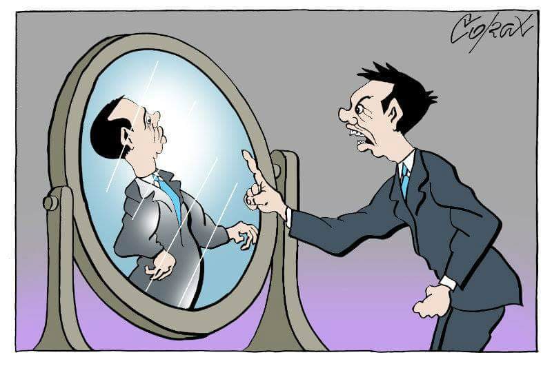 Corax 8