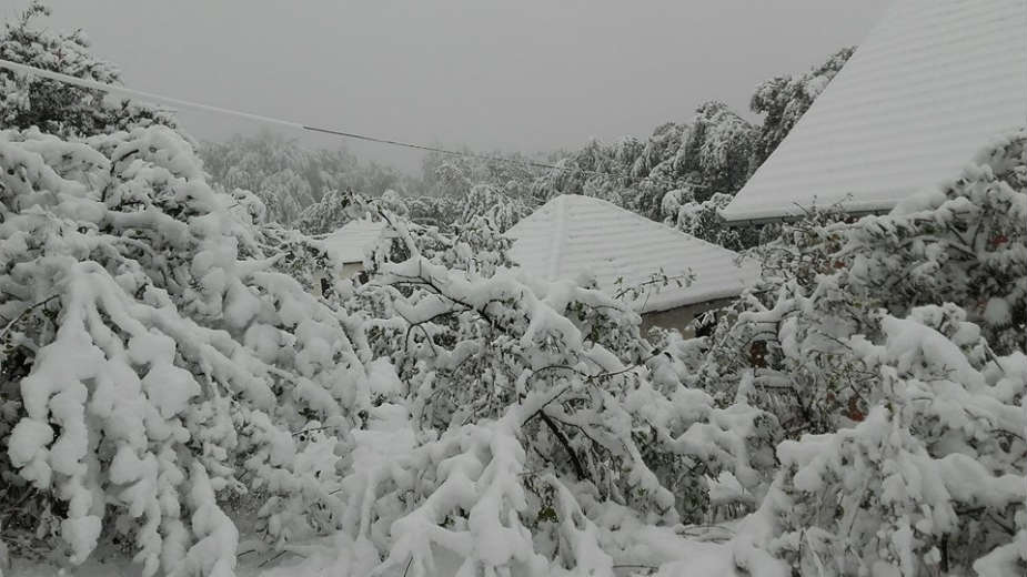 Pao prvi sneg u Srbiji 1