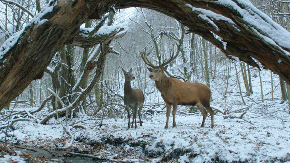 Filmski vodič od 5. do 11. oktobra 6 Filmski vodič od 5. do 11. oktobra 6