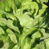 Prijava projekata organskih proizvođača do 20. aprila 10