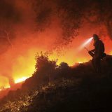 Do sada 23 žrtve požara u Kaliforniji 8