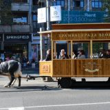 Obeleženo 125 godina GSP-a „Beograd” 14