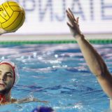 Remi Zvezde, odluka o Ligi šampiona u Španiji 11