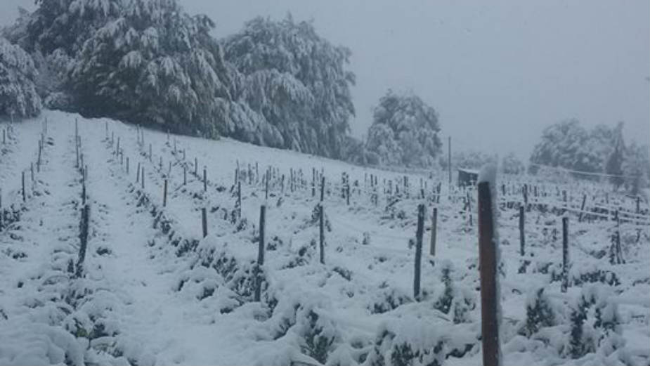 Foto: Nezavisne narodne novine Rasinskog okruga