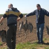 Platio zbog trovanja ždralova 2