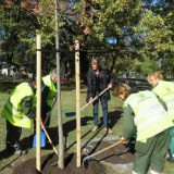 Uvode se licence za komunalne delatnosti 7