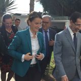 Brnabić: Dijalog sa Albanijom moguć i pored neslaganja 14