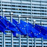 Joksimović: Srbija spremna za EU za pet do sedam godina 9