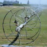 Do leta pod zaštitom 37.000 hektara u Vojvodini 3