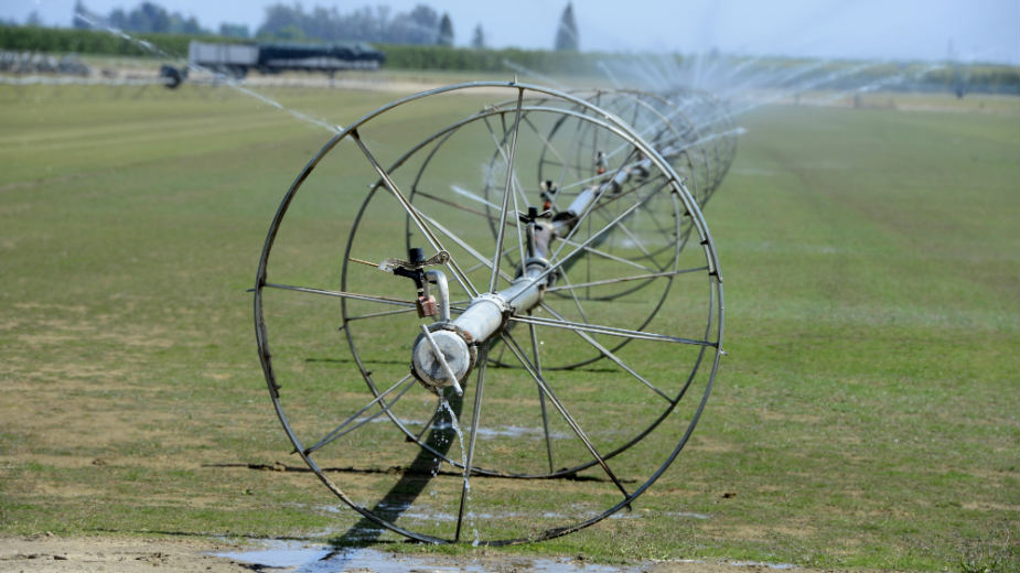 Do leta pod zaštitom 37.000 hektara u Vojvodini 1