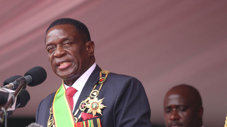 Emerson Mnangagva: Politički krokodil 1