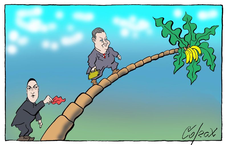 Corax 6