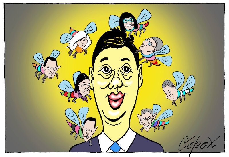 Corax 15