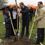 Stotinu novih stabala 11