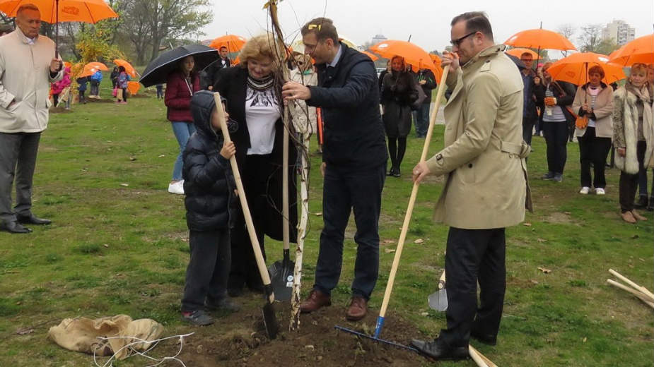 Stotinu novih stabala 1