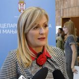 Paunović: Deca preuzimaju modele ponašanja od odraslih 6