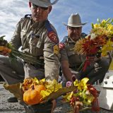 Kriva je "bolest" 15