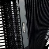 Smotra najuspešnijih svetskih harmonikaša 5