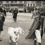 Gradovi u pokretu 12