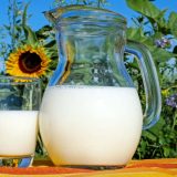 Proizvođači mleka: Veće premije za mleko za tri dinara neće zaustaviti rasprodaju krava u Srbiji 9
