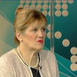 Lajović: Važna uloga porodice u prevenciji vršnjačkog nasilja 3