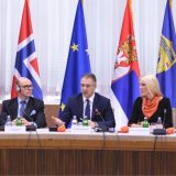 Stefanović: Nasilje nije ni privatni ni porodični, već društveni problem 11