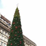 Za jelku 83.000 evra, slučaj da ispita policija 12