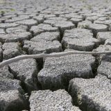 Nedimović: Sprovodimo pet mera za pomoć ratarima 8