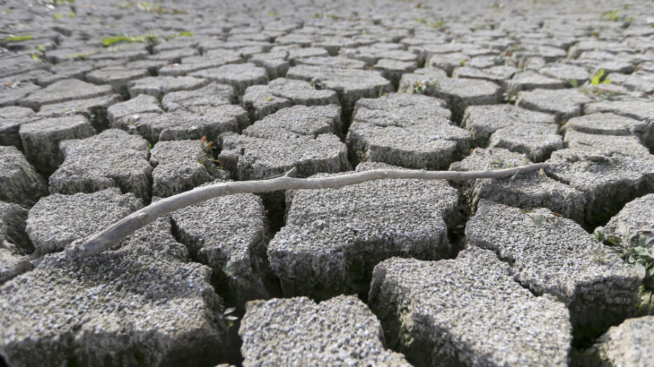 Nedimović: Sprovodimo pet mera za pomoć ratarima 1