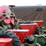 Vladina pomoć zbog suše "uopštena, zakasnela i zanemarljiva" 12