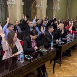 Skupština Zrenjanina usvojila budžet od 4,2 milijarde 3