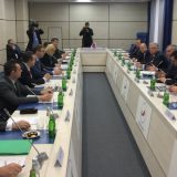 Vučić: Rusija je strateški partner Srbije 4