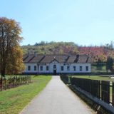 Najlepši ukras srpske Šampanje 14