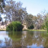 Australija (2): Hteo sam da vidim pravu zemlju 6