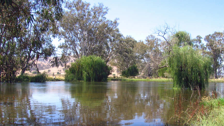 Australija (2): Hteo sam da vidim pravu zemlju 1