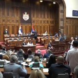 Vladajuća većina povukla amandmane 11