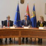 Stefanović sa evropskim parlamentarcima 11