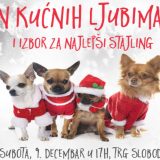 Dan kućnih ljubimaca na "Novosadskom Winter Festu" 4