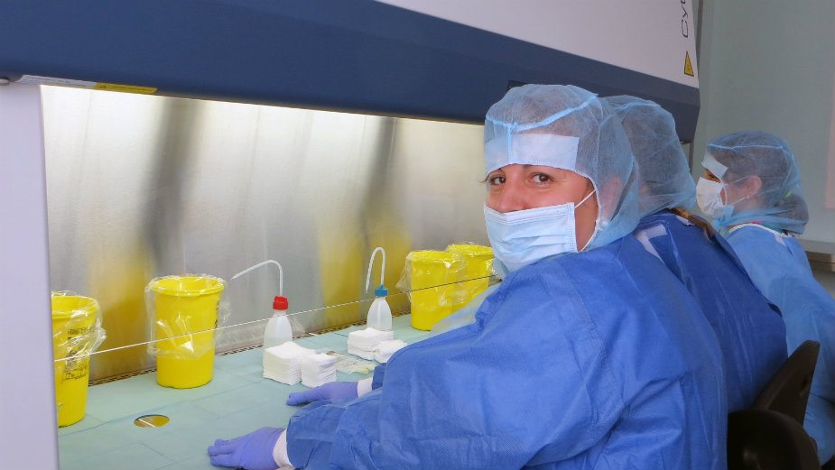 Paralelni profiti: bugarski dileri lekova 3