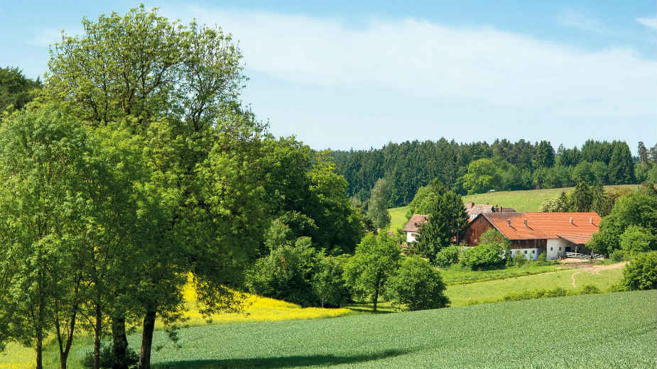 HiPP – U harmoniji sa prirodom i ljudima 1