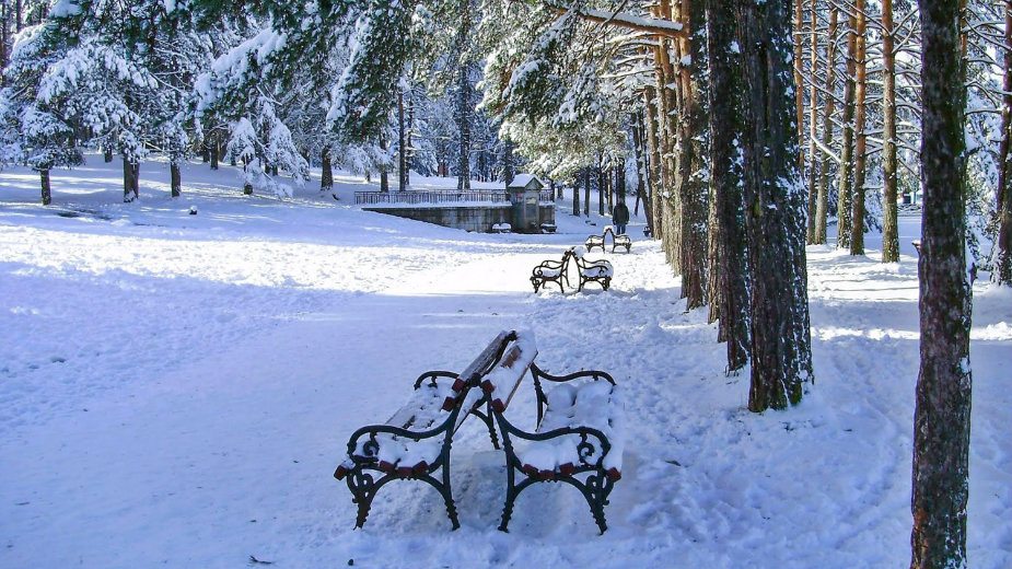 Počinje novogodišnje slavlje na Zlatiboru 1
