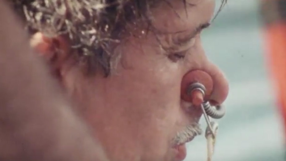 "Čovek delfin" otvara Festival podvodnog filma (VIDEO) 1