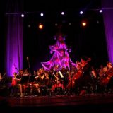 Gvardia oduševila Požarevljane 12