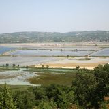 Erjavec: Očekujem reakciju komisije 5