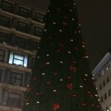 Njujork tajms: Plastična jelka podstiče tvrdnje o korupciji 10