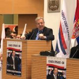 Dragomir Karić: Mi smo pobednici 14