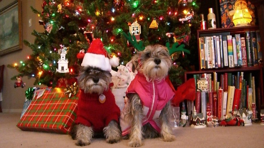 Božić po Gregorijanskom kalendaru 4