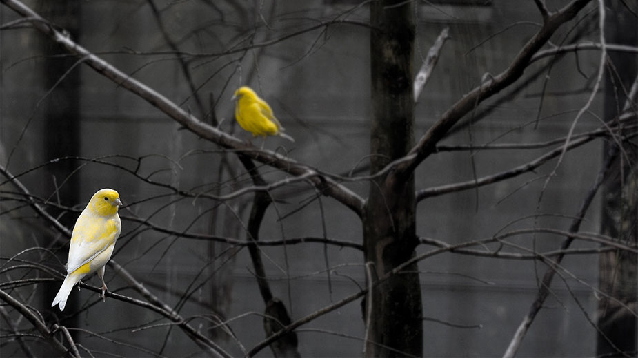 Poređenje sa drugim ljudima – realna slika ili iskrivljeno ogledalo? 1