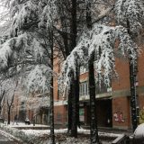 Sneg pomerio derbi 2