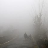 Vozači oprez: Magla oko Novog Sada 12